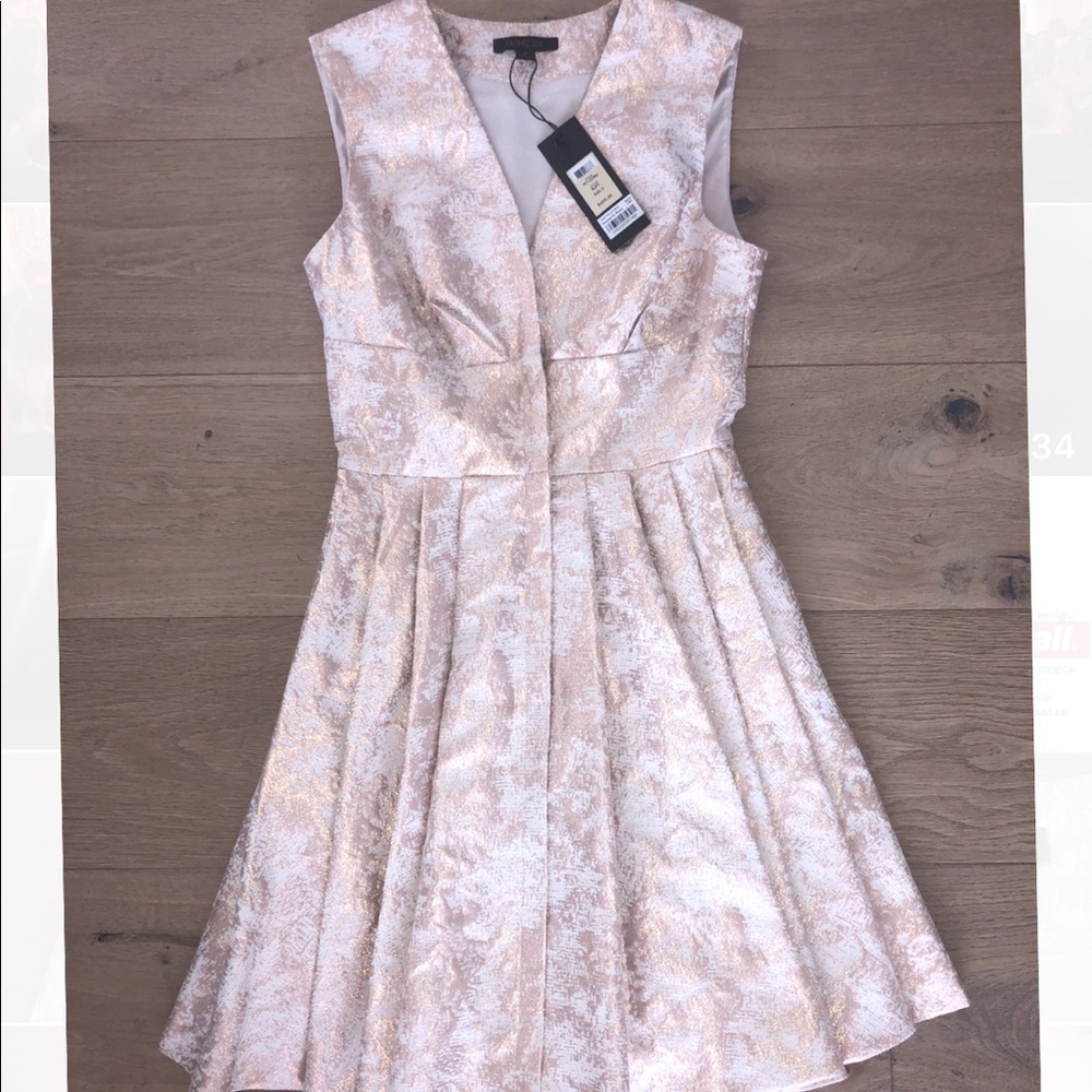 NWT Rachel Zoe Rose Gold Dress